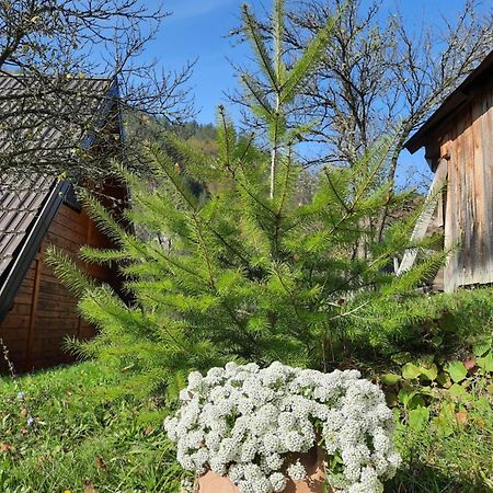 Vikendica Neven Villa Zaovine Exterior photo
