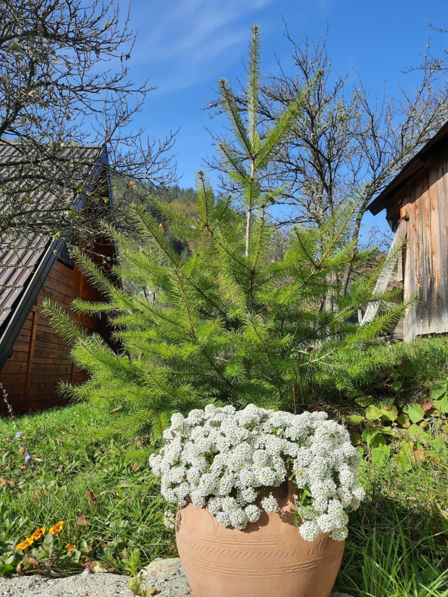 Vikendica Neven Villa Zaovine Exterior photo